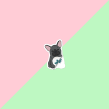 Load image into Gallery viewer, French Bulldog Dog Pet Sticker
