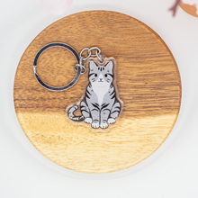 Load image into Gallery viewer, Tabby Cat Keychain Epoxy/Acrylic Keychain

