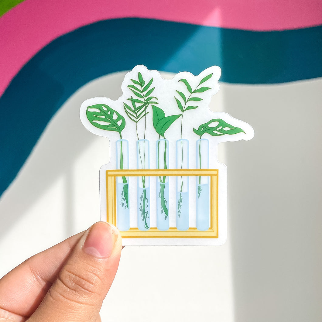 CLEAR Plant Propagation Stand Sticker