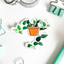 Load image into Gallery viewer, Devil&#39;s Ivy Plant pot sticker
