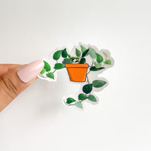 Load image into Gallery viewer, Ivy plant pot sticker with white background
