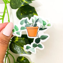 Load image into Gallery viewer, Ivy Plant Pot sticker  with color background

