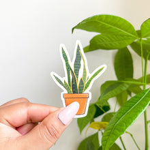 Load image into Gallery viewer, Snake plant sticker 
