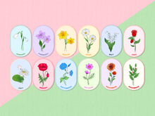 Load image into Gallery viewer, Birth Month Flowers Can Glass Cup (Lid and Straw not included)
