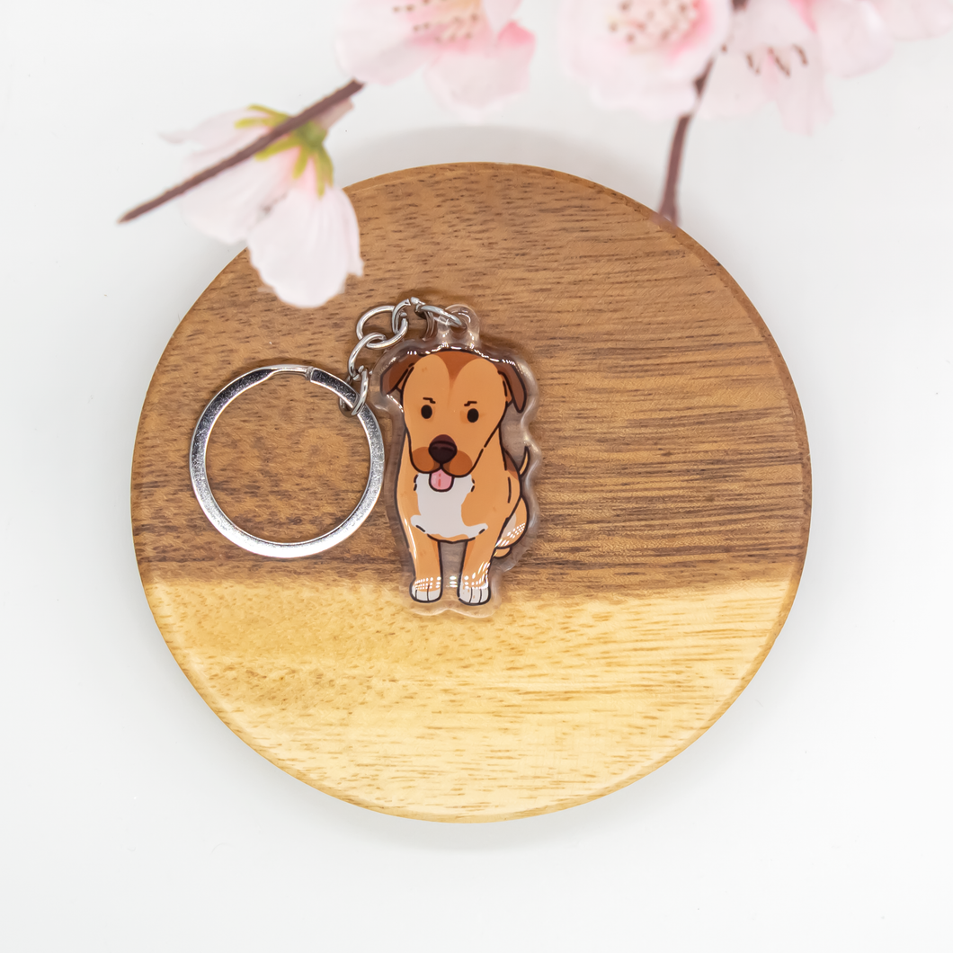 Mutt Pet Dog Keychains Epoxy/Acrylic Keychain
