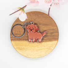 Load image into Gallery viewer, Red Labrador Golden Retriever Keychains Epoxy/Acrylic Keychain
