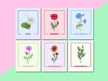 Load image into Gallery viewer, Birth month flower prints displayed one next to the other, each in their own color. july august september october november december

