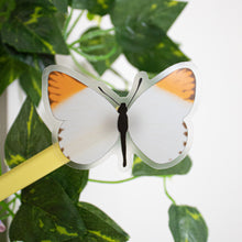 Load image into Gallery viewer, CLEAR Orange Tip Butterfly Sticker
