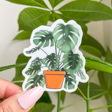 Load image into Gallery viewer, Monstera Plant in terracotta pot
